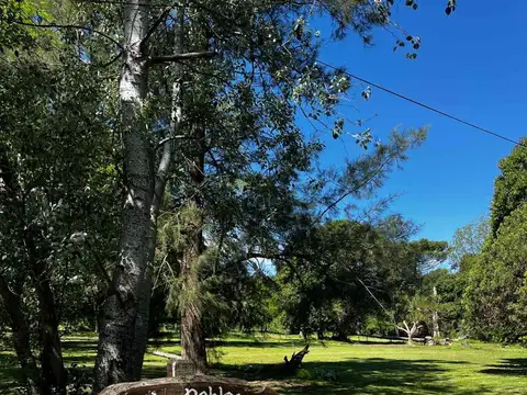 VENTA QUINTA CARDALES OPORTUNIDAD