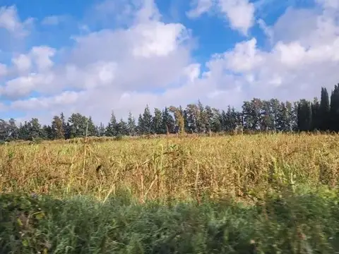 Ruta Nacional 9 Km 169