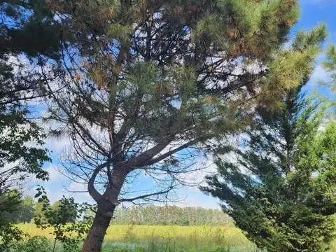 Ruta Nacional 9 Km 169