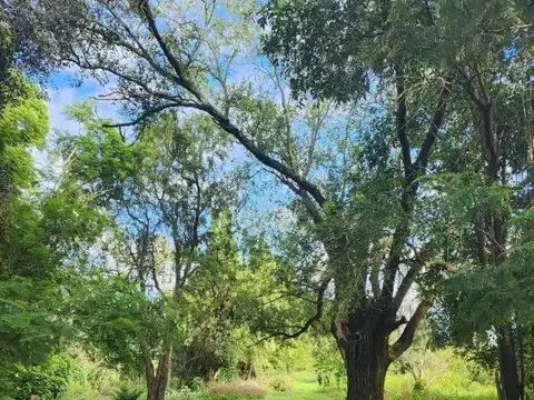 Ruta Nacional 9 Km 169