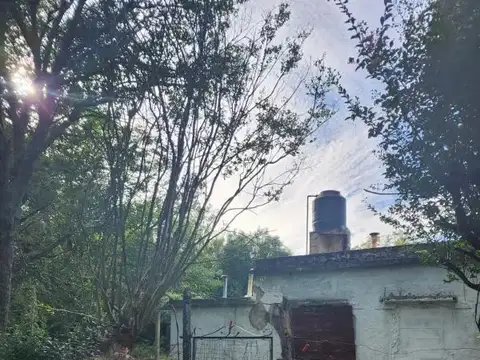 Chacra en venta - 5ha - San Pedro