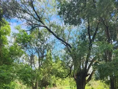 Ruta Nacional 9 Km 169