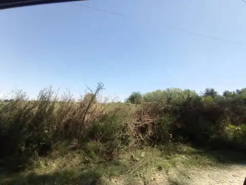 SAN CAYETANO 1000