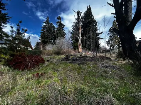 Terreno en Alquiler de 1753,0 m2