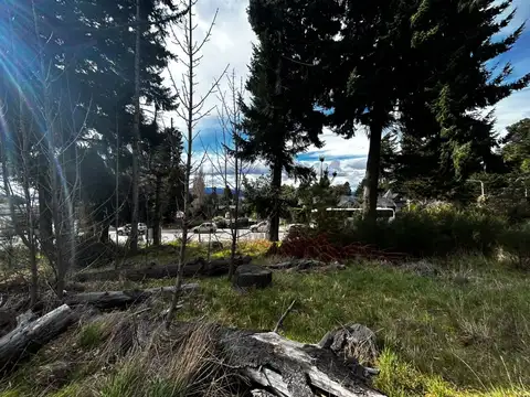 Terreno en Alquiler de 1753,0 m2