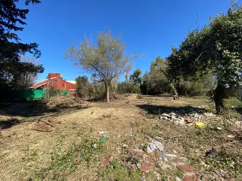 calle 17 entre 517 y 519