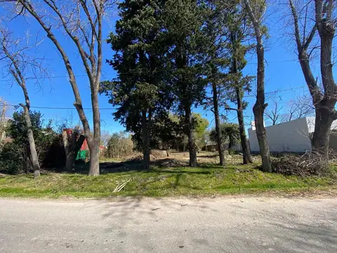 calle 17 entre 517 y 519