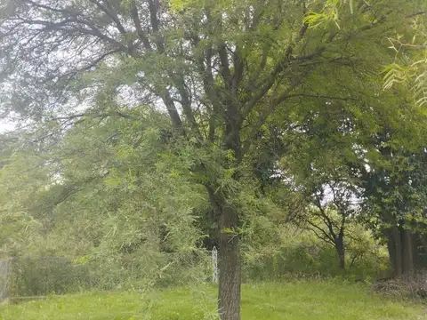Terreno en Venta de 6858,0 m2