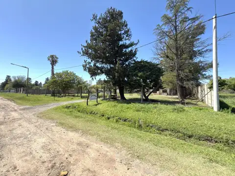 Calle 39 600, Piso 0