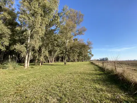 Terreno en Venta de 40000,0 m2