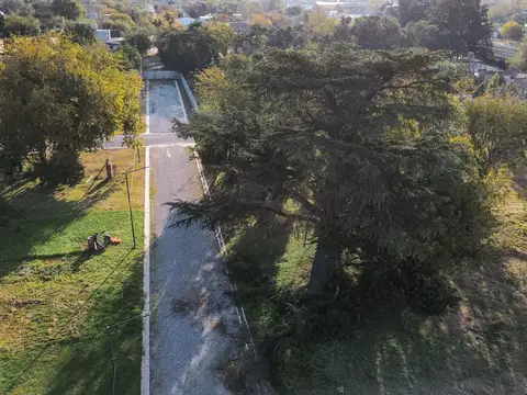 Terreno en Venta de 220,0 m2