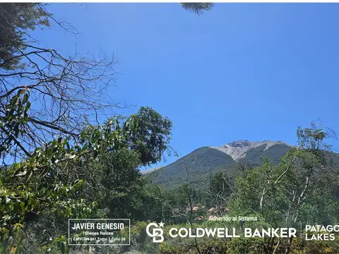 Terreno en Venta 31  mts Fondo