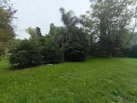 Managua y Sanabria