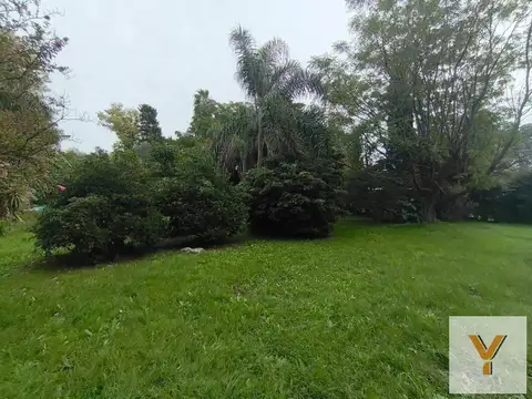 Managua y Sanabria