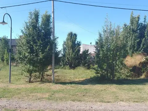 Parcela 71C Quinta 020