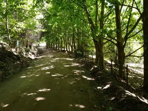 VENTA CAMPO 18HAS ARROYO 2 CABAÑAS AGUA DE ORO