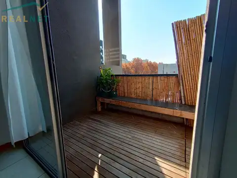 Bonpland 1300