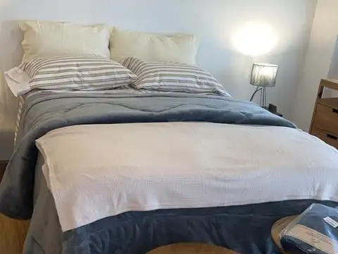 Departamento en Alquiler Temporal Apto profesional