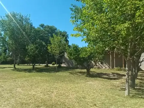 Lotes en venta Bª Ancellota-San Martín - Mendoza