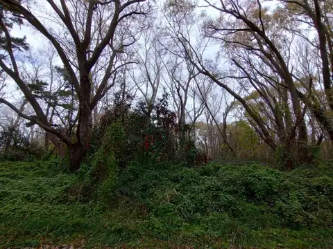 Terreno en Venta en Costa del Este, USD 30.000