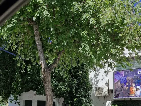 San Martín y Arizu Godoy Cruz