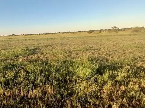 LOTES MZ. D EN VENTA DE 578M². LAVALLE CORRIENTES