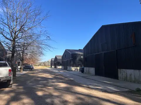 Tessalia , Tierra de Centuros