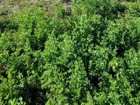 Ruta Provincial 34 100