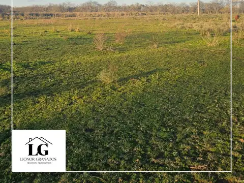 Autopista Ezeiza Cañuelas Km 52