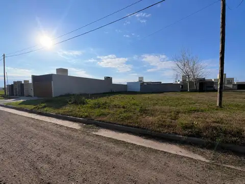 Los Pinos 2100