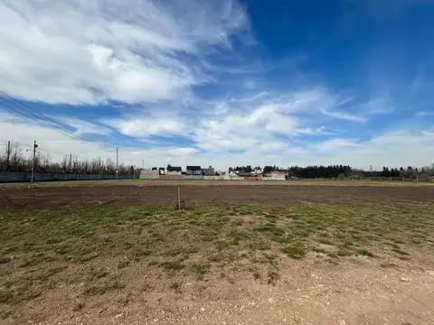 Terreno en Venta de 310,0 m2