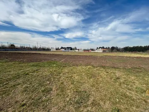 Terreno en Venta de 310,0 m2
