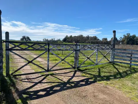 CAMPO MIXTO DE 120 HECTÁREAS EN DEL CARRIL  PDO DE SALADILLO