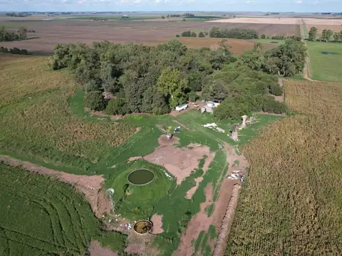 Campo en Venta Agrícola