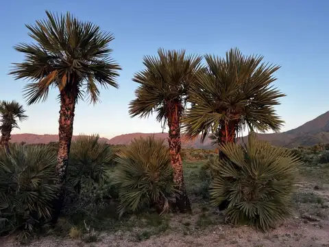 Terreno en Venta en Papagayos, USD 410.000