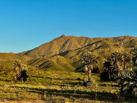 Terreno en Venta 2.350  mts Fondo