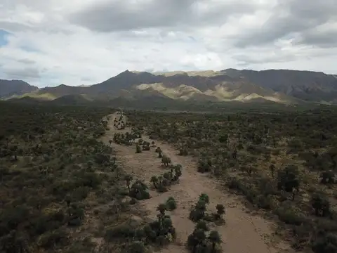 Terreno en Venta de 50000,0 m2