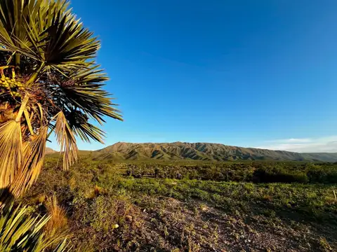 Terreno en Venta en Papagayos, Chacabuco