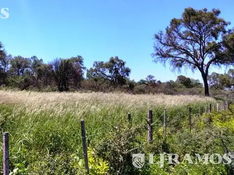 2500 ha ganaderas, con silvopastoril y estructura armada. Taco Pozo, Chaco