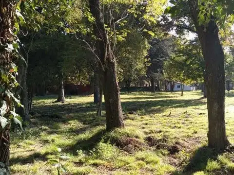 Poleo e/ Juan de Garay y López y Planes