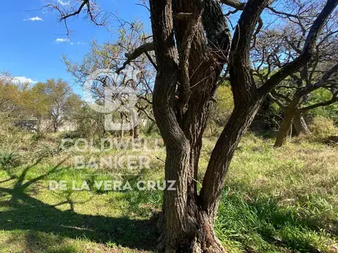 Terreno 5 en Colastine Norte