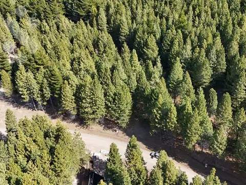 Terreno en Venta en San Martín de los Andes, Lácar