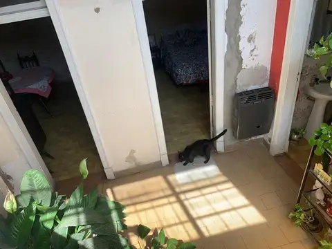 Sande 277 , Piso P.B.