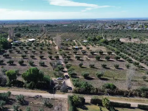 Campo en Venta en Lunlunta, Maipú