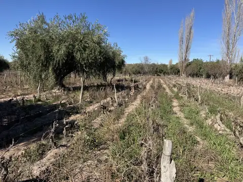 LA FALDA