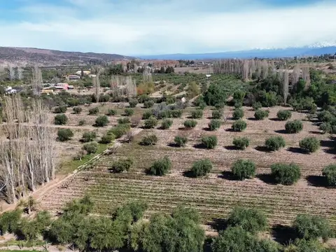 VENTA DE FINCA EN LUNLUNTA