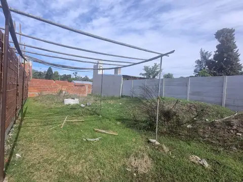 Carlos Calvo 2500