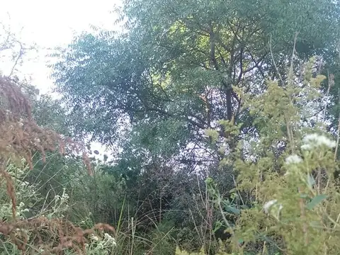 Terreno en Venta de 600,0 m2