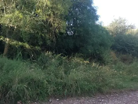 LOTE VENTA SALSIPUEDES 600m2- 2 LOTES X USD 20.000