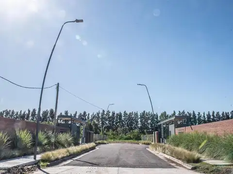 Terreno en Venta 25  mts Fondo